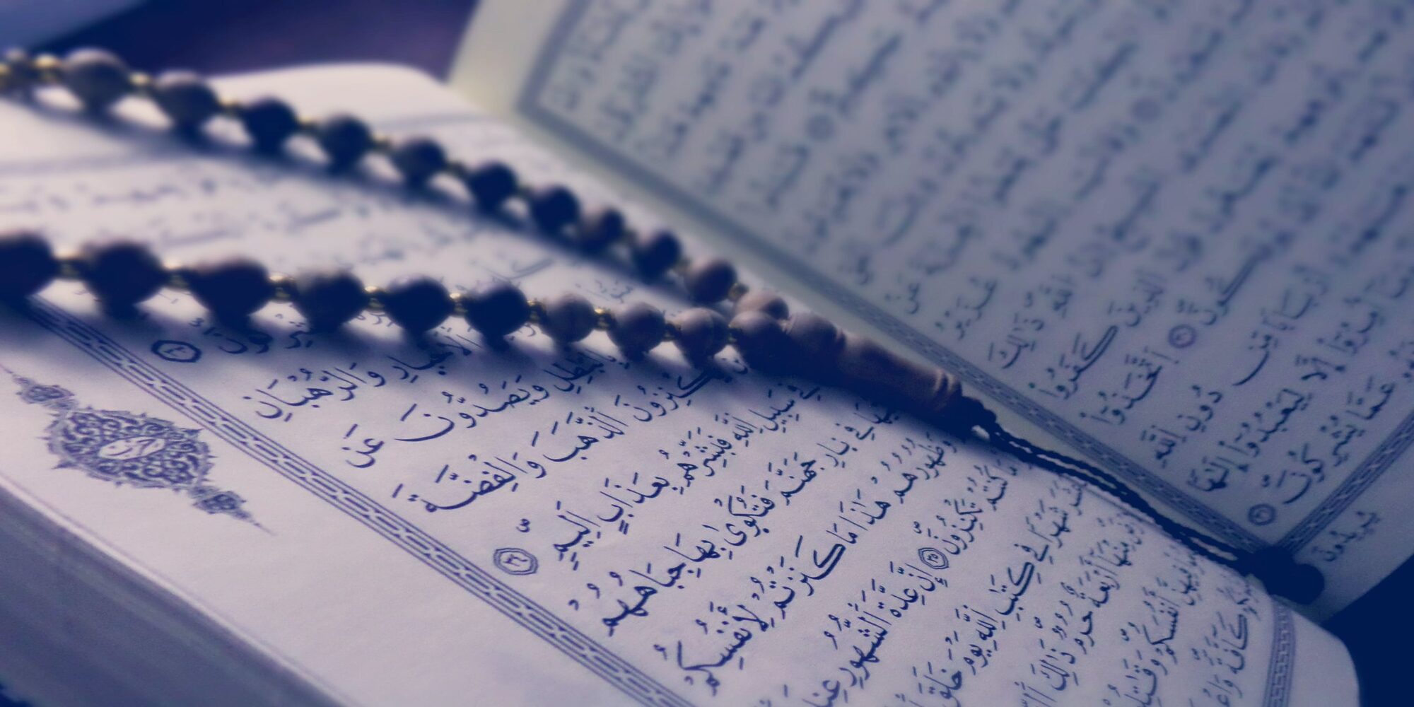 Unlock Divine Wisdom: Explore the Quran Hub Online